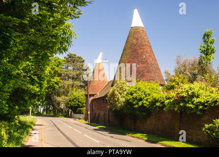 Rye, England, Großbritannien - 8 Juni, 2013: Traditionelle oast Häuser stehen auf der Seite der Landstraße bei Udimore in der Nähe von Rye in East Sussex. Stockfoto