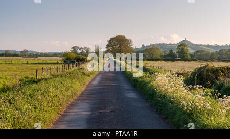 Einen schmalen Feldweg ist mit Verges üppig mit Feder Vegetation und Blumen in Englands Somerset Levels grenzt, mit Glastonbury Tor steigende Als l Stockfoto