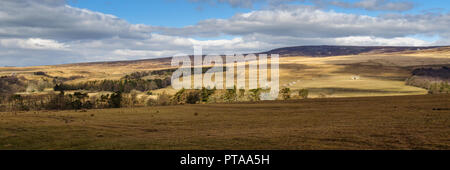 Eine traditionelle Scheune steht allein auf die Moorlandschaft des Waldes von Bowland Hügeln in Lancashire, Nordengland. Stockfoto