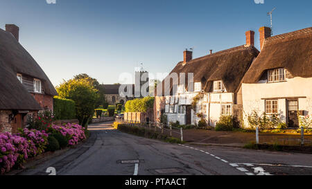 Okeford Fitzpaine, England, Großbritannien - 26 August, 2012: traditionelles Fachwerk und strohgedeckten Hütten Linie eine Straße in das Dorf Okeford Fitzpaine in der Stockfoto