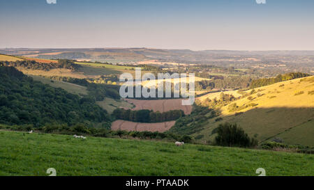 Dämmerung fällt Licht auf die große landwirtschaftliche Tal der Blackmore Vale unter den sanften Hügeln der Dorset Downs und Cranborne Chase in England. Stockfoto