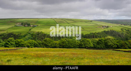 Landwirtschaftlich genutzten Feldern und Moorland oberhalb Heptonstall in der südlichen Pennines Hochland Region von England. Stockfoto