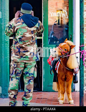 Ein Mann nimmt einen Bruch mit seinem Miniatur Pferd außerhalb Maison Bourbon Jazz Club, November 15, 2015, in New Orleans, Louisiana. Stockfoto