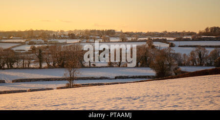 Winter Schnee liegt auf Feldern und traditionellen Hecke Bäume bei Sonnenuntergang in Dorset des ländlichen Backmore Vale Bezirk. Stockfoto