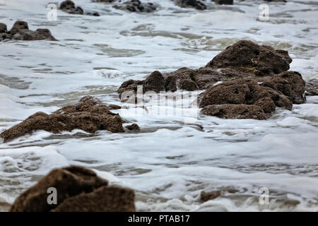 Sea Foam und Steinen. Fokus auf die Mitte des Bildes. Stockfoto