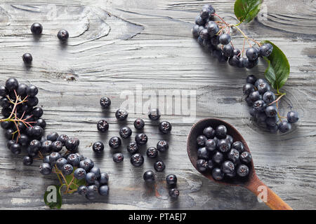Löffel, frisch gepflückt homegrown Aronia Beeren und daneben. Aronia, allgemein bekannt als die Aronia, mit Blättern Stockfoto