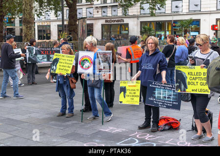 Tier Hund Tierschutz Demonstranten Plakate in Leicester Square, West End, London WC2 an einer friedlichen Demonstration über Grausamkeit zu den Windhunden Stockfoto