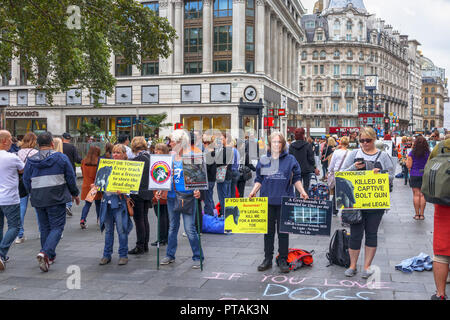 Tier Hund Tierschutz Demonstranten Plakate in Leicester Square, West End, London WC2 an einer friedlichen Demonstration über Grausamkeit zu den Windhunden Stockfoto