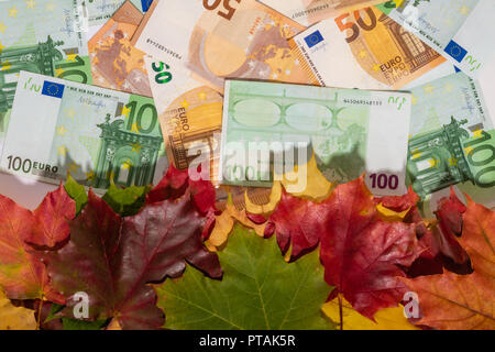 Förderung Verkauf Konzept Hintergrund mit Euro Geld und bunten Herbst Ahorn Blätter Stockfoto