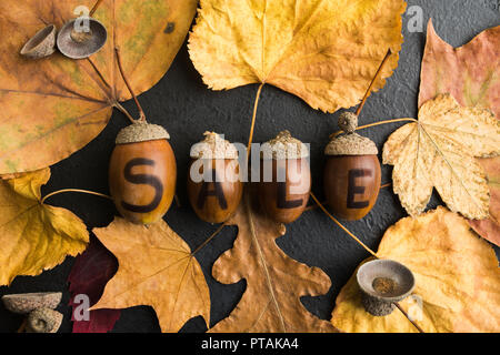 Herbst Sale Konzept mit Test von Eicheln mit trockenen Blättern um, flacher Stil legen Stockfoto