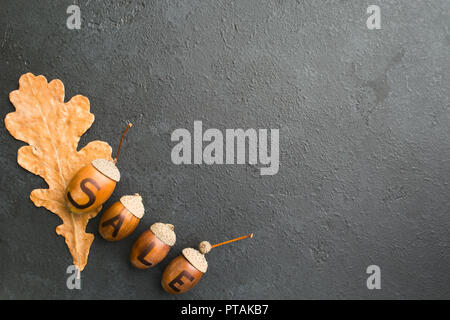 Herbst Sale Dekoration mit Eicheln und eine Eiche Blatt auf schwarzen Hintergrund mit Kopie Raum, Flach, Ansicht von oben Stockfoto