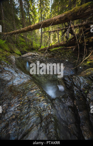 Kleinen Gebirgsbach Trøbekken im Wald in der Nähe von jonsvatnet See, mitten in Norwegen. Langzeitbelichtung Schuß auf dem Wasser und Felsen. Sommer. Stockfoto