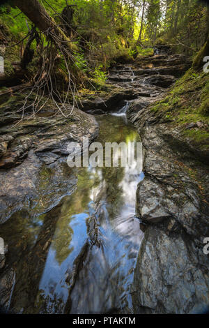 Kleinen Gebirgsbach Trøbekken im Wald in der Nähe von jonsvatnet See, mitten in Norwegen. Langzeitbelichtung Schuß auf dem Wasser und Felsen. Sommer. Stockfoto