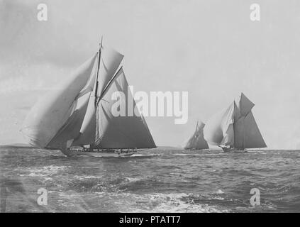 'White Heather", "Meteor III" und "Brynhild" Racing im Solent, 1905. Schöpfer: Kirk & Söhne von Cowes. Stockfoto