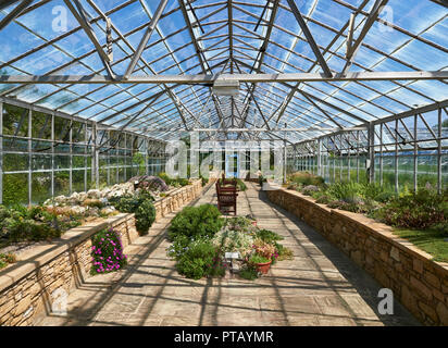 Auf der Suche durch die Sukkulenten und Kakteen Gewächshaus im Botanischen Garten in St Andrews, Fife, Schottland. Stockfoto