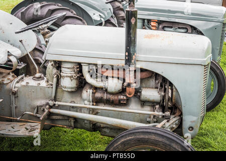 Rusty Vintage Grau Ferguson Traktoren an einer landwirtschaftlichen Ausstellung in gewohnt, County Durham, England Großbritannien Stockfoto