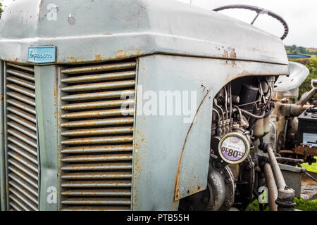 Rusty Vintage Grau Ferguson Traktoren an einer landwirtschaftlichen Ausstellung in gewohnt, County Durham, England Großbritannien Stockfoto