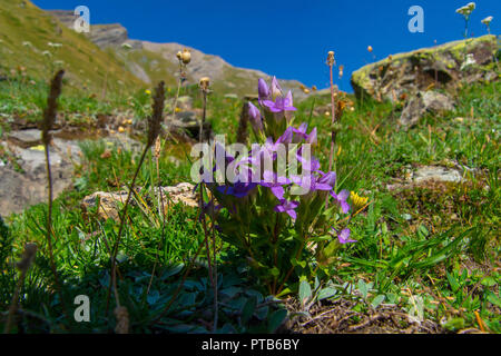 Planaval, val Aosta, Italien Stockfoto