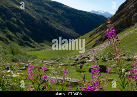 Planaval, val Aosta, Italien Stockfoto