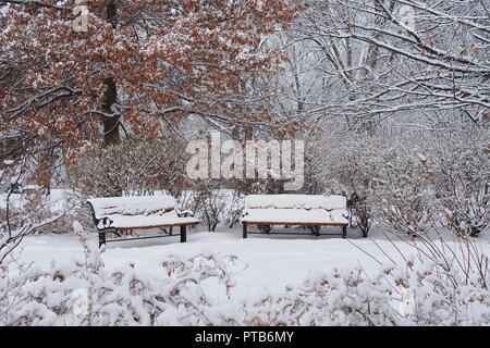 Schnee bedeckt Bänke, Kommissare Park, Ottawa, Ontario, Kanada. Stockfoto