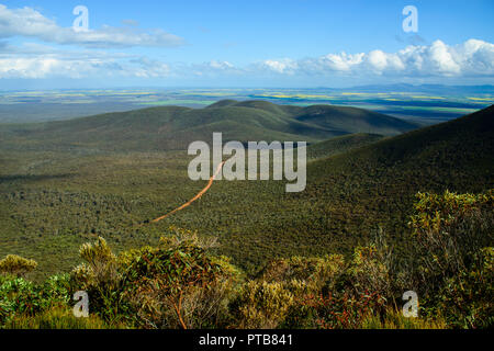 Red Schotterpiste durch den Wald führende, Stirling Range National Park, Western Australia, Australien Stockfoto