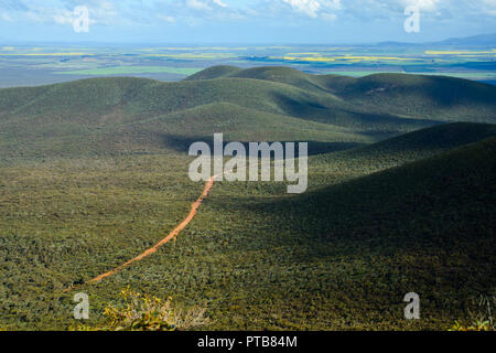 Red Schotterpiste durch den Wald führende, Stirling Range National Park, Western Australia, Australien Stockfoto