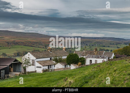 North Pennines AONB Landschaft, Arla brennen Farm, eine typische Teesdale weiß getünchten Hill Farm mit dem Weiler Holwick in der Ferne Stockfoto