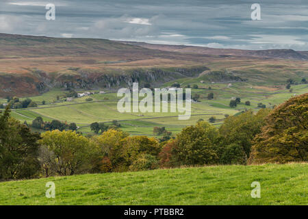 North Pennines AONB Landschaft, Blick auf Holwick ab Mitte Seite, Middleton-in-Teesdale, County Durham, UK im Herbst Stockfoto