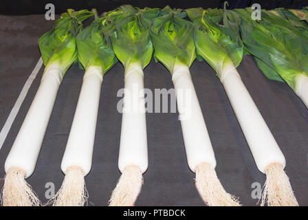 5 Lauch blanchieren bei einer Show Stockfoto