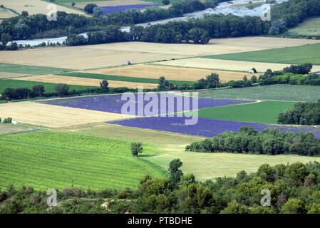 High-Angle oder Luftbild von Weizen und Lavendel Feld Muster, die in der Asse Tal Schuß vom Plateau von Valensole Provence Frankreich Stockfoto