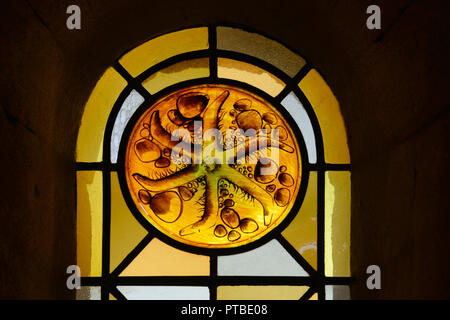 Abstrakte oder geometrische Muster der Glasfenster in der Kirche von Saint Trophime Arles Provence Frankreich Stockfoto