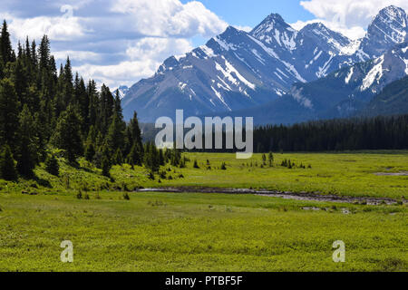 Vista entlang der Seite des Spray Strasse der Seen in den Rockies Stockfoto