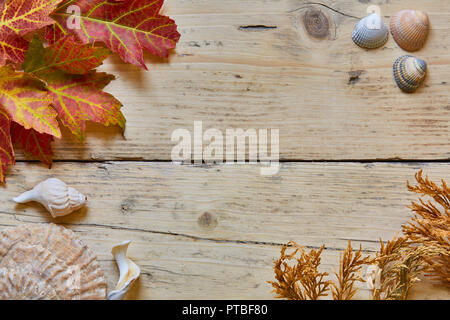 Ein Brett aus Holz mit Herbstlaub, Muscheln und ein Stück der Farn, die an den vier Ecken mit Platz in der Mitte für das Schreiben oder Text verfügbar Stockfoto