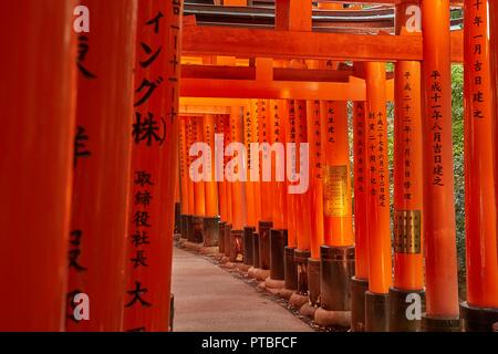 Fushimi Inari Taisha torii Tore Stockfoto