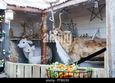 Festliche Rentier inside Shop an Weihnachten Stockfoto