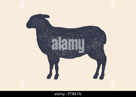 Lamm, Schaf. Vintage logo, retro Print, Plakat für Metzgerei Stock Vektor