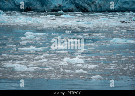 Kleine iceburgs und Eisbrocken sitzen in der Nähe der felsigen Küstenlinie von Kenai Fjords National Park in Aaliak Bay Stockfoto