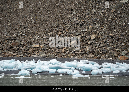 Kleine iceburgs und Eisbrocken sitzen in der Nähe der felsigen Küstenlinie von Kenai Fjords National Park in Aaliak Bay Stockfoto