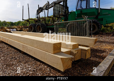 Frisch geschnitten und gemahlen Holz Stockfoto