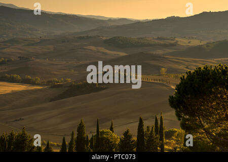 Toskanische Landschaft im Val d'Orcia, Toskana, Italien, Europa Stockfoto