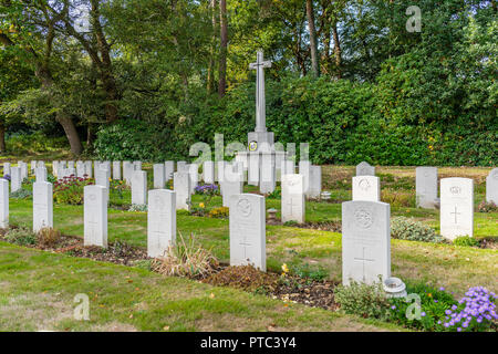 Reihen von 2.Weltkrieg gefallenen Soldaten Gräber und Kriegerdenkmal an Hollybrook Friedhof in Southampton, Hampshire, England, Großbritannien Stockfoto