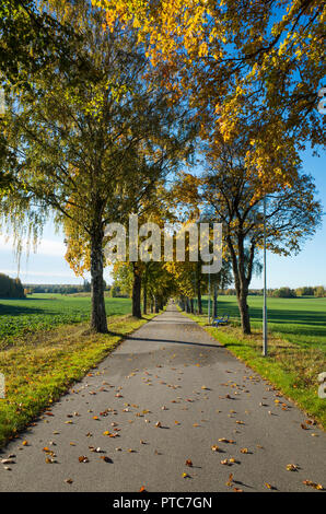 Schönen Herbsttag in Schweden Skandinavien. Bunte Bäume, Straße und Gasse. Ruhig, friedlich und glücklich im Freien Bild. Stockfoto