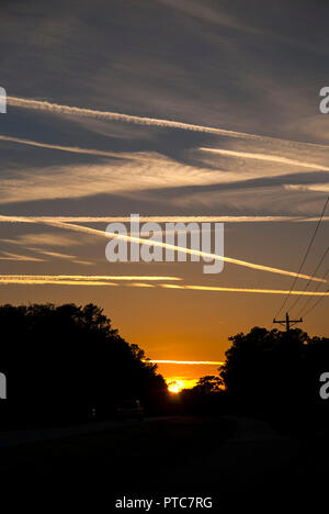 Jet Kondensstreifen kreuz und quer durch den Himmel bei Sonnenuntergang in North Central Florida. Stockfoto