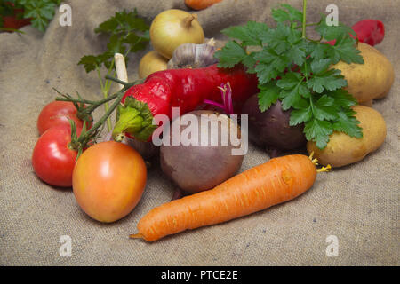 Einen kleinen Satz von Gemüse aus dem Garten im Herbst gesammelt, September Stockfoto