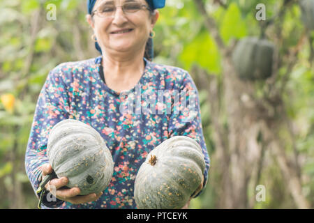 Gerne ältere Frau Bauer Holding Kürbisse in die Hände am Garten Farm Stockfoto