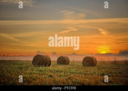 Sonnenuntergang über dem Feld mit Strohballen Stockfoto