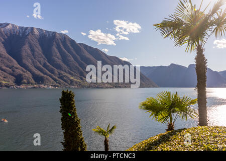 Europa, Italien, Lecco, Comer See, einem Körper von Wasser umgeben von Palmen Stockfoto