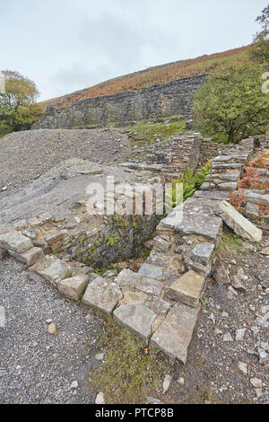 Reste der einst blühenden führen, Bergbau, Gunnerside Gill, Swaledale, Yorkshire Dales, UK. Sir Francis Dressing Stock. Stockfoto