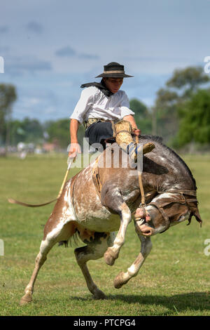 Unbekannter Fahrer namens Gaucho ein Pferd Reiten in einer Tradition Festival in San Antonio de Areco in Buenos Aires, Argentinien Stockfoto