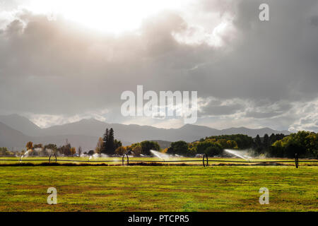 Bewässerungsanlagen sprühen Wasser auf Feldern in der Nähe von Salida, Colorado, USA Stockfoto